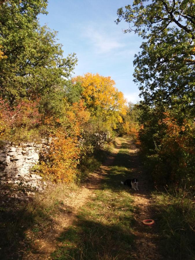Les Trois Prunelles Saint-Pierre-Toirac ภายนอก รูปภาพ