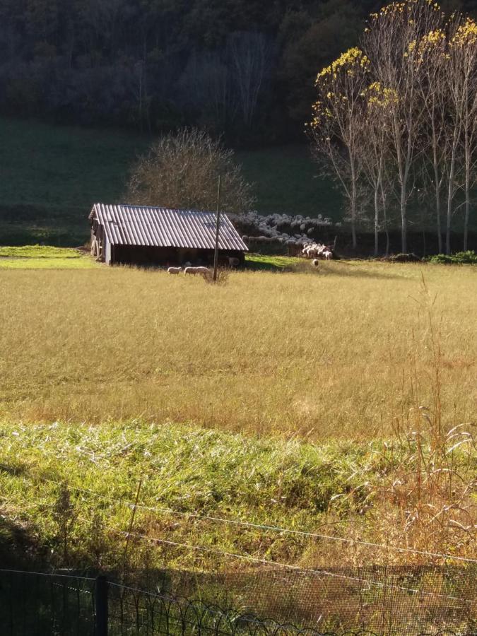 Les Trois Prunelles Saint-Pierre-Toirac ภายนอก รูปภาพ